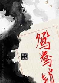 鸳鸯锁百度云